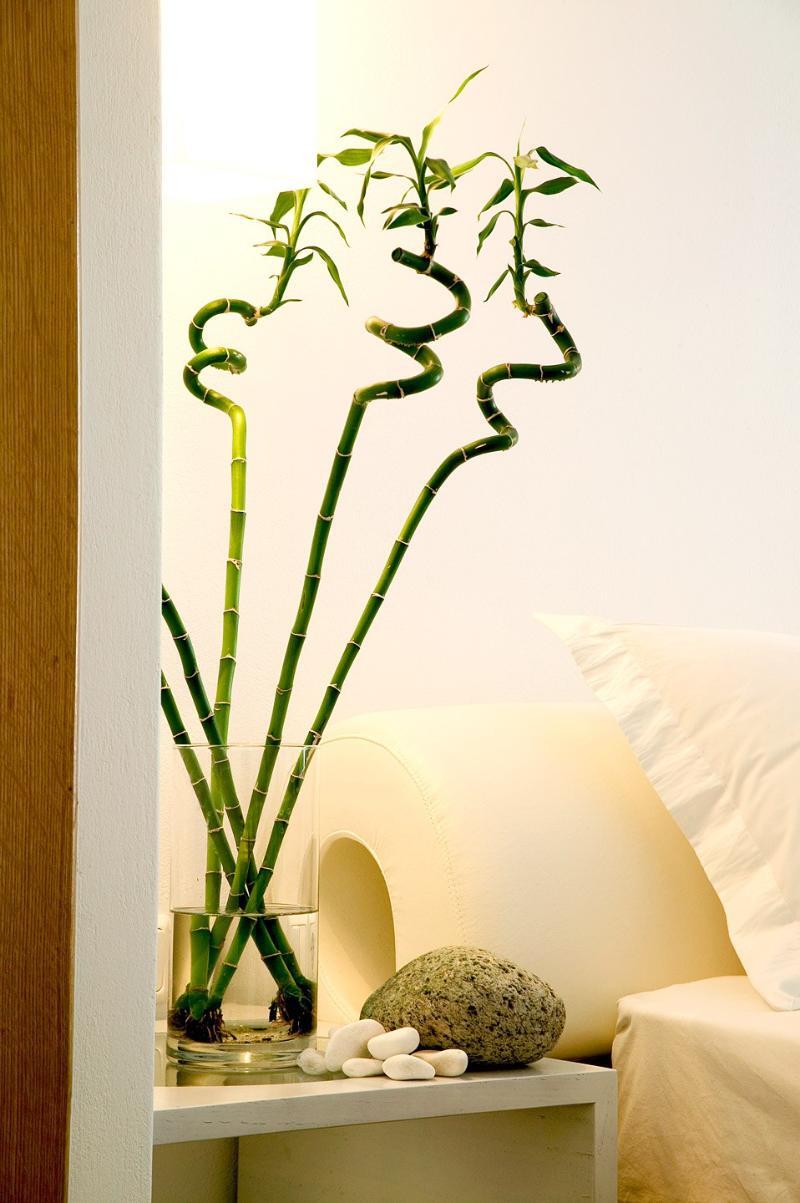 Petasos Beach Resort & Spa - Small Luxury Hotels Of The World Platys Gialos  Eksteriør billede